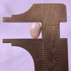 1.8ct Natural Conch Pearl light pink and white color with baroque shape