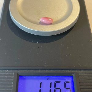 1,16 ct Natural Conch Pearl, pink color and oval egg-shaped