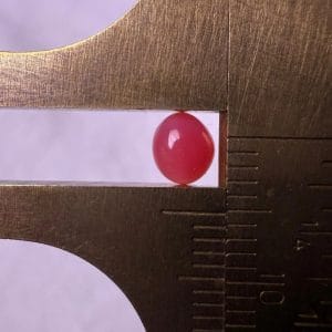 0.7ct Narural Queen Conch Pearl with Round Shape and Dark Pink Color