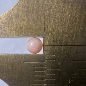 1ct Lot of Natural Conch Pearls, Round Shape, Different Colors