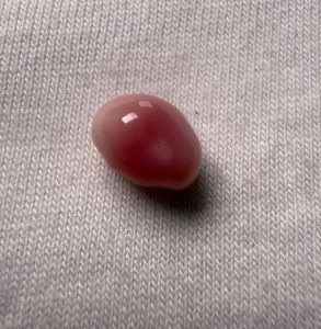 FM4AAeSwsq1oll29