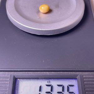 1.3ct Natural Conch Pearl, White spotted (white with brown), Oval: Egg-shaped