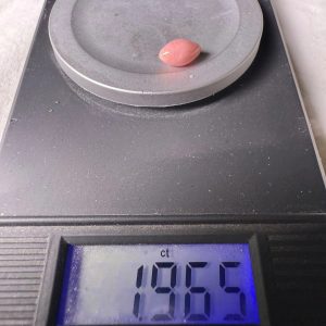 1.9ct Natural Queen Conch Pearl, Flame and Oval Shape with a Crack, light Pink