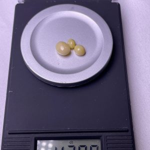 Three Natural Conch Pearl 2.3ct , 1.2ct, 0.6ct, light yellow color.
