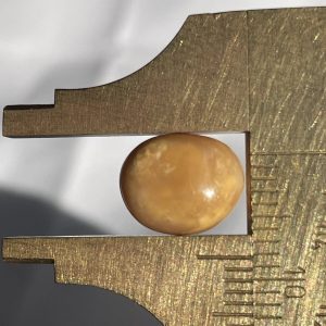 4.1 ct Natural Conch Pearl. Saturn color. Baroque Shape