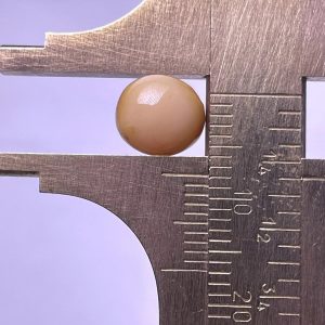 3.5 Natural Conch Pearl with Cream color and Round Shape