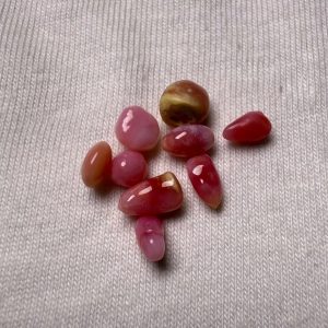 4.2ct lot of Natural Queen Conch Pearls. 9 pieces
