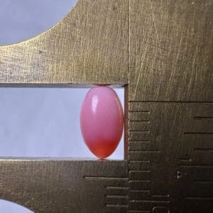 1.1ct Natural Queen Conch Pearl, pink and Oval Shape