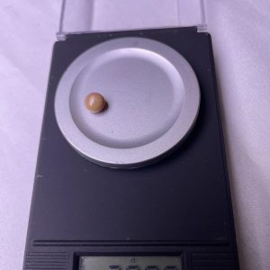 2.1ct Natural Conch Pearl in a button shape with pink spotted (pink and brown)