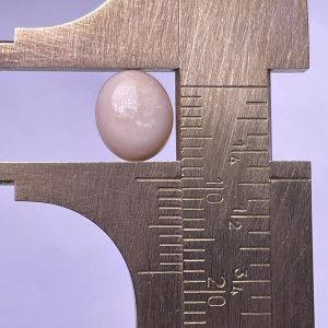 3.3ct Natural Conch Pearl in a Light Pink color with a Button shape