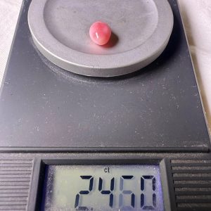 2.4ct Pink Queen Conch Pearl with flame