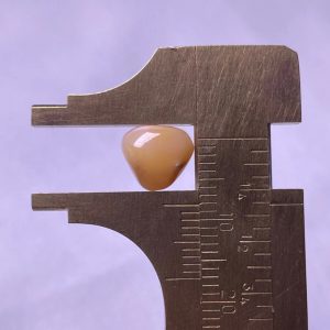 3.4ct Natural Conch Pearl with baroque shape and Saturn color