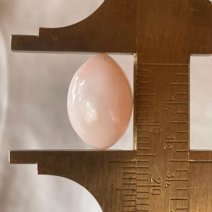 Beautiful light pink 14,3 ct Natural Conch Pearl whit a Oval egg-shaped