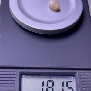 1.8ct Natural Conch Pearl light pink and white color with baroque shape