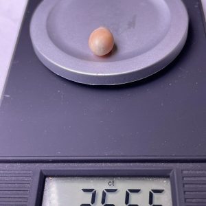 3.6ct Natural Conch Pearl in light Pink and White Color With Oval/Baroque Shape