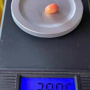 2.9ct Natural Conch Pearl, Pink with Yellow Spotted and Baroque Shape