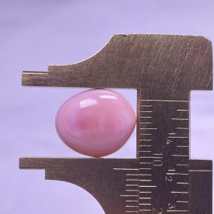 10,5ct Natural Conch Pearl, light pink, Button: Flattened shape