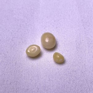 Three Natural Conch Pearl 2.3ct , 1.2ct, 0.6ct, light yellow color.