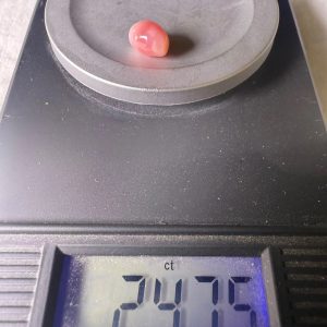 2.4ct Natural Queen Conch Pearl, Baroque shape and Pink color