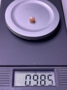 r4EAAOSw3hdnQ08D