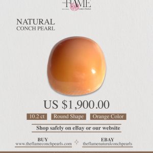 1- 10.2ct Natural Conch Pearl, Round Shape and Orange color