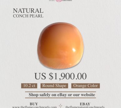 1- 10.2ct Natural Conch Pearl, Round Shape and Orange color