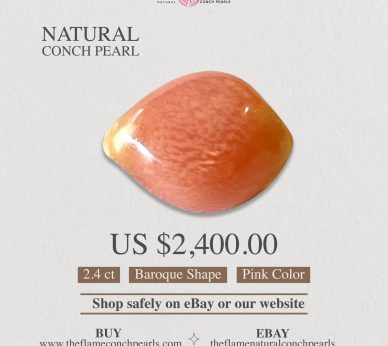 1- 2.4 ct Natural Conch Pearl, pink color and baroque shape
