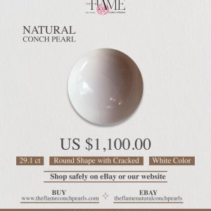 1- 29.1ct Natural Conch Pearl, white color and round shape with cracked