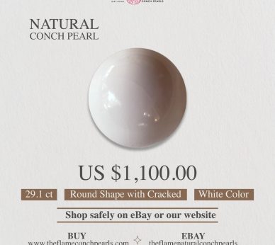 1- 29.1ct Natural Conch Pearl, white color and round shape with cracked