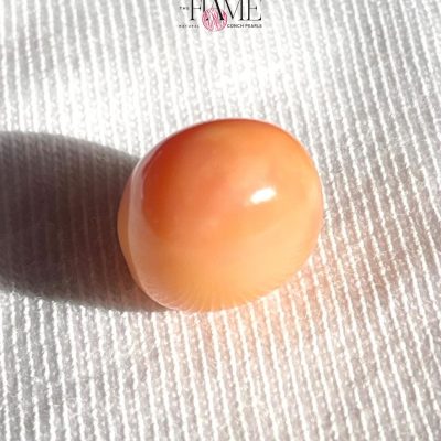 10- 10.2ct Natural Conch Pearl, Round Shape and Orange color
