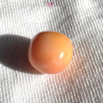 11- 10.2ct Natural Conch Pearl, Round Shape and Orange color