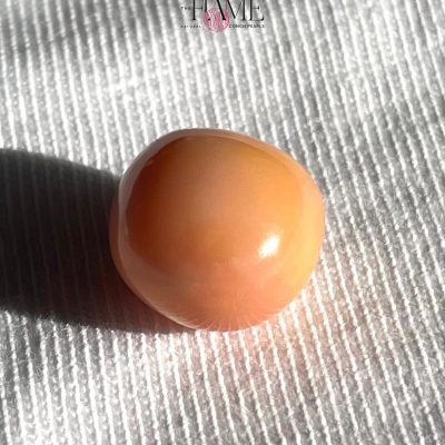 12- 10.2ct Natural Conch Pearl, Round Shape and Orange color