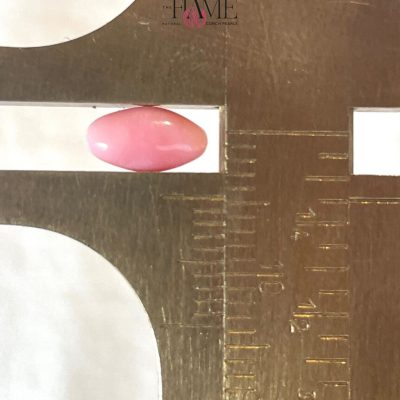 2- 1.16 ct Natural Conch Pearl, pink color and oval egg-shaped