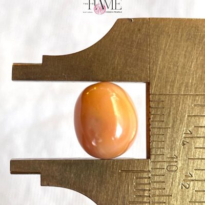 2- 10.2ct Natural Conch Pearl, Round Shape and Orange color