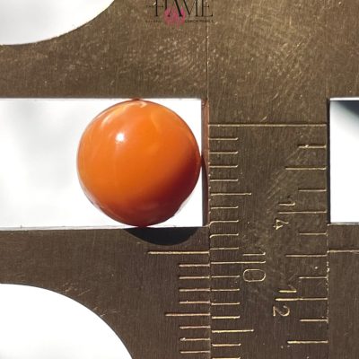 2- 5.4ct Orange Natural Conch Pearl With Perfect Round Shape