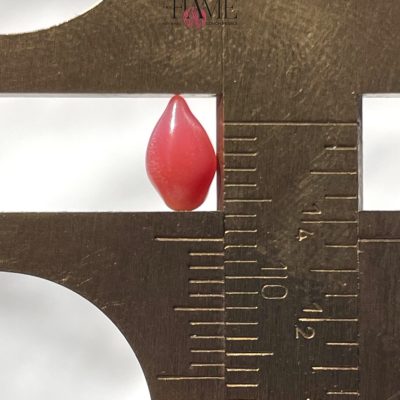 3- 0.9ct Dark Pink Natural Conch Pearl , with tear shape and flame