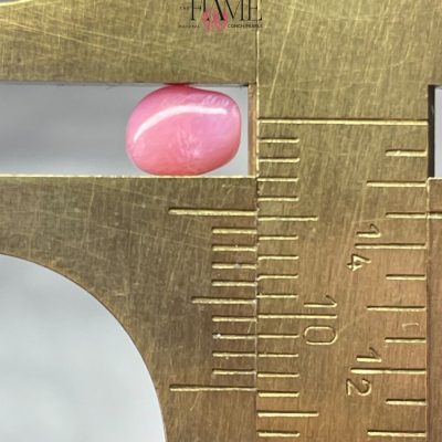3- 0.9ct Pink Natural Conch Pearl.jpg