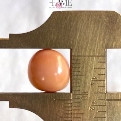 3- 10.2ct Natural Conch Pearl, Round Shape and Orange color