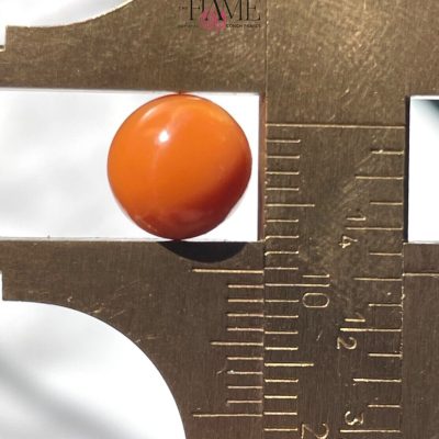 3- 5.4ct Orange Natural Conch Pearl With Perfect Round Shape