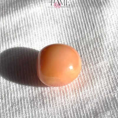 4- 10.2ct Natural Conch Pearl, Round Shape and Orange color