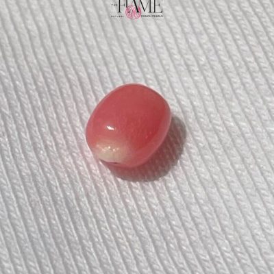 5- 1.1ct Natural Conch Pearl, Pink with Flame and Oval Shape
