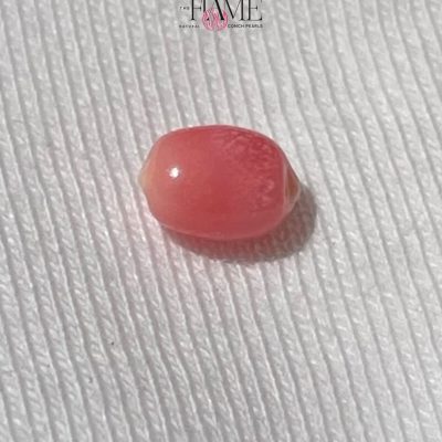 7- 1.1ct Natural Conch Pearl, Pink with Flame and Oval Shape