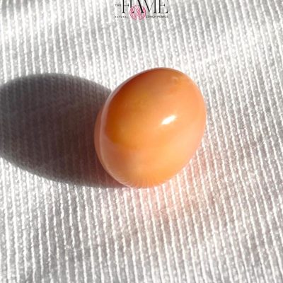 7- 10.2ct Natural Conch Pearl, Round Shape and Orange color
