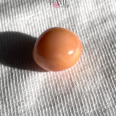 8- 10.2ct Natural Conch Pearl, Round Shape and Orange color